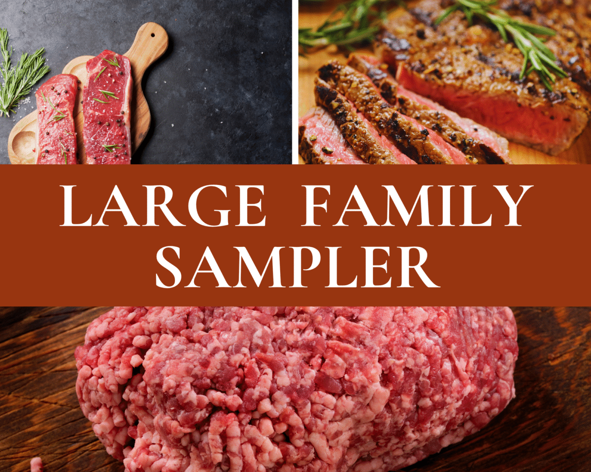Family Sampler