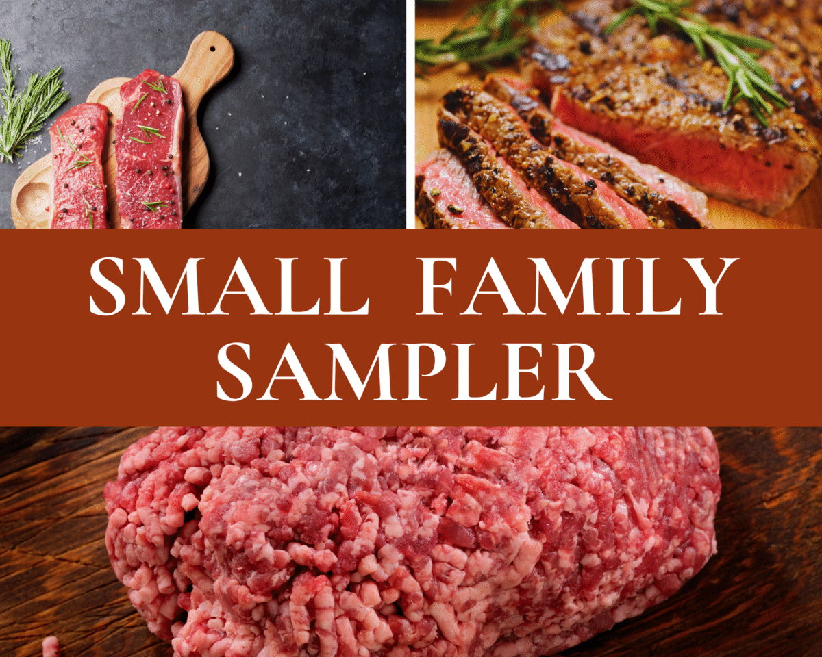 Small Family Sampler